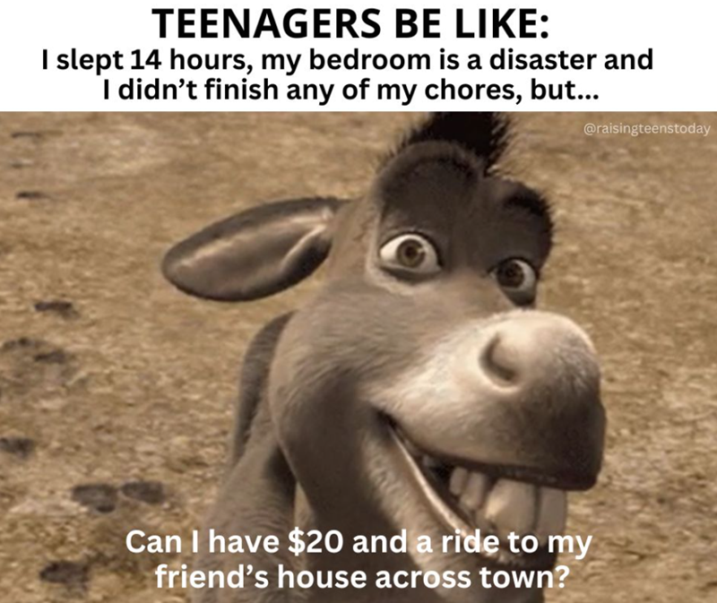 TEENAGERS BE LIKE: I slept 14 hours, my bedroom is a disaster and I didn't finish any of my chores, but... Can I have $20 and a ride to my friend's house across town? @raisingteenstoday