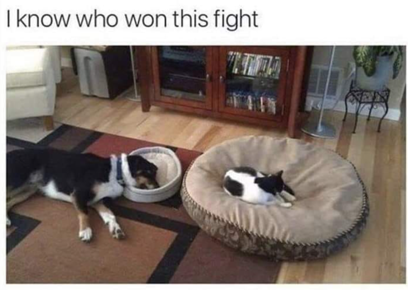 I know who won this fight