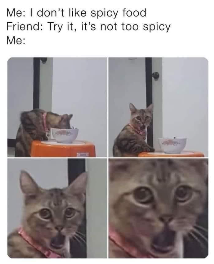 Me: I don't like spicy food Friend: Try it, it's not too spicy Me: