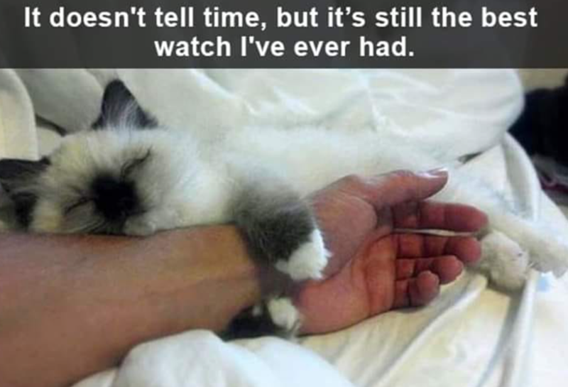 It doesn't tell time, but it's still the best watch I've ever had.