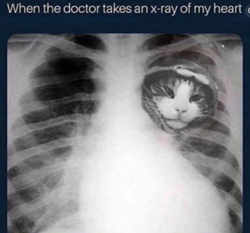 When the doctor takes an x-ray of my heart (