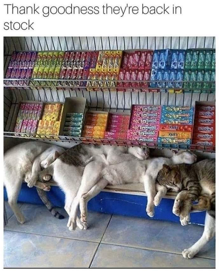 Thank goodness they're back in stock CREUS CINDUS