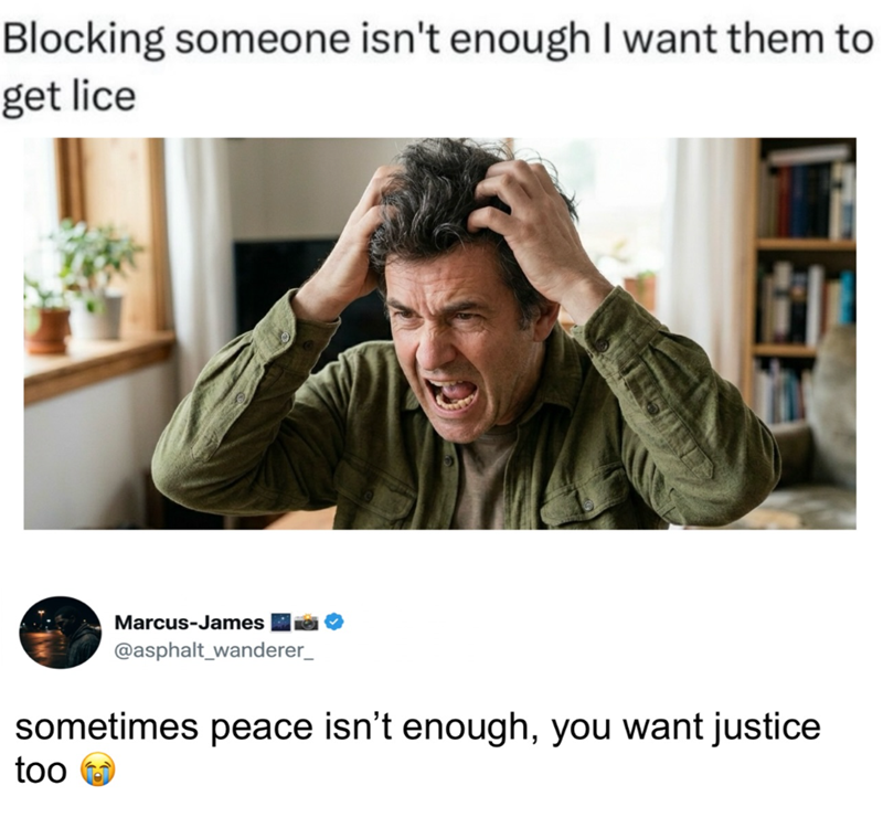 Blocking someone isn't enough I want them to get lice Marcus-James @asphalt_wanderer_ sometimes peace isn't enough, you want justice too
