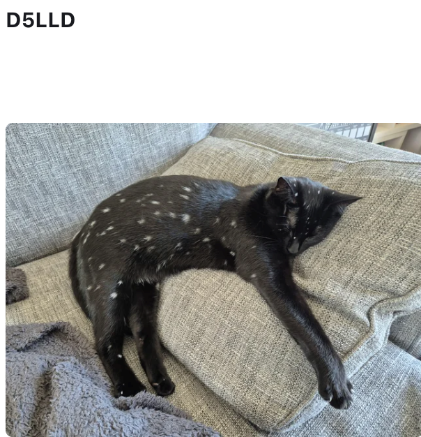 D5LLD