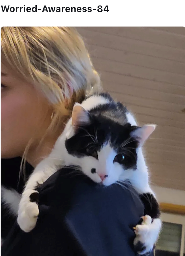 Worried-Awareness-84