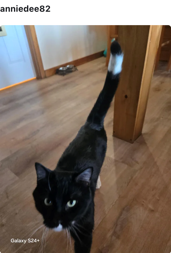 anniedee82 Galaxy S24+