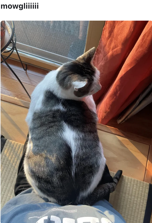 mowgliiiiii