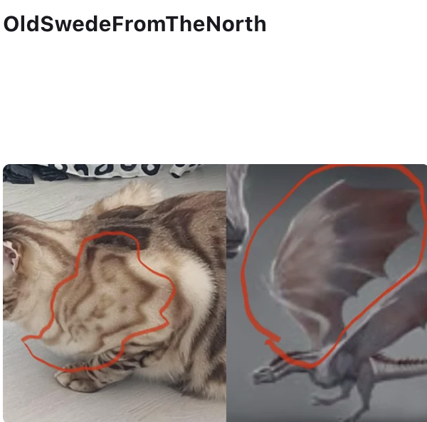 OldSwedeFromTheNorth
