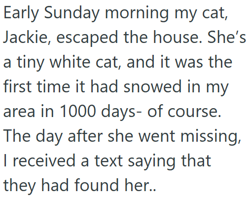 Early Sunday morning my cat, Jackie, escaped the house. She's a tiny white cat, and it was the first time it had snowed in my area in 1000 days- of course. The day after she went missing, I received a text saying that they had found her..