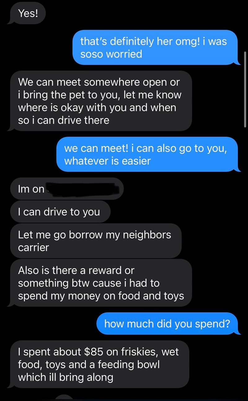 Yes! that's definitely her omg! i was soso worried We can meet somewhere open or i bring the pet to you, let me know where is okay with you and when so i can drive there we can meet! i can also go to you, whatever is easier Im on I can drive to you Let me go borrow my neighbors carrier Also is there a reward or something btw cause i had to spend my money on food and toys how much did you spend? I spent about $85 on friskies, wet food, toys and a feeding bowl which ill bring along