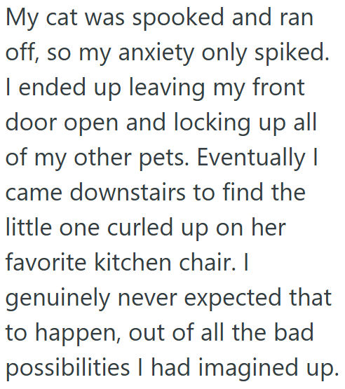 My cat was spooked and ran off, so my anxiety only spiked. I ended up leaving my front door open and locking up all of my other pets. Eventually I came downstairs to find the little one curled up on her favorite kitchen chair. I genuinely never expected that to happen, out of all the bad possibilities I had imagined up.