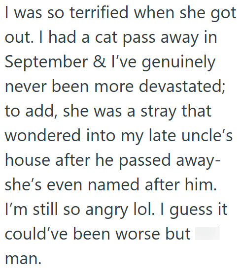 I was so terrified when she got out. I had a cat pass away in September & I've genuinely never been more devastated; to add, she was a stray that wondered into my late uncle's house after he passed away- she's even named after him. I'm still so angry lol. I guess it could've been worse but man.