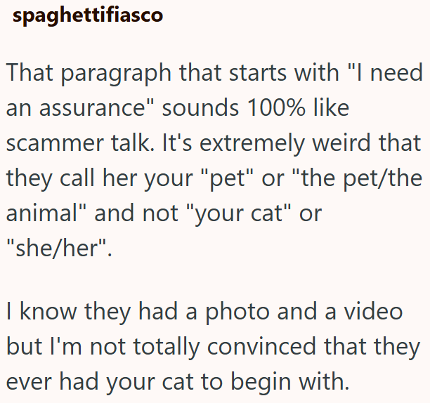 spaghettifiasco That paragraph that starts with "I need an assurance" sounds 100% like scammer talk. It's extremely weird that they call her your "pet" or "the pet/the animal" and not "your cat" or "she/her". I know they had a photo and a video but I'm not totally convinced that they ever had your cat to begin with.