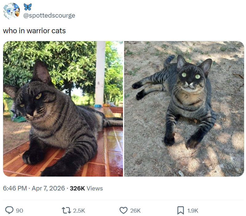 @spottedscourge who in warrior cats 6:46 PM - Apr 7, 2026 - 326K Views 90 12.5K 26K 1.9K