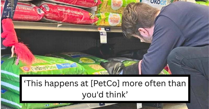 scoop MULCST STRENGTH STRENGTH SWheat Scoop Feline Pine 'This happens at [PetCo] more often than you'd think'