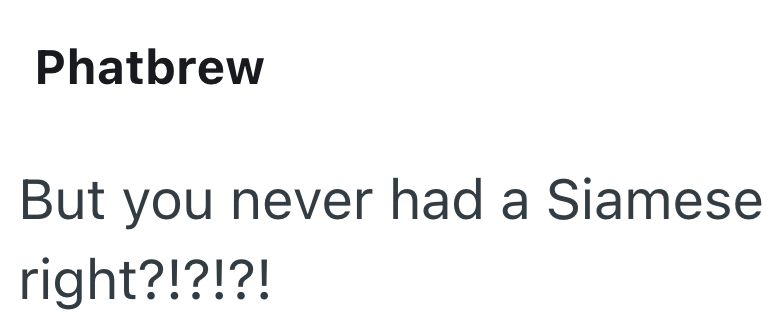 Phatbrew But you never had a Siamese right?!?!?!