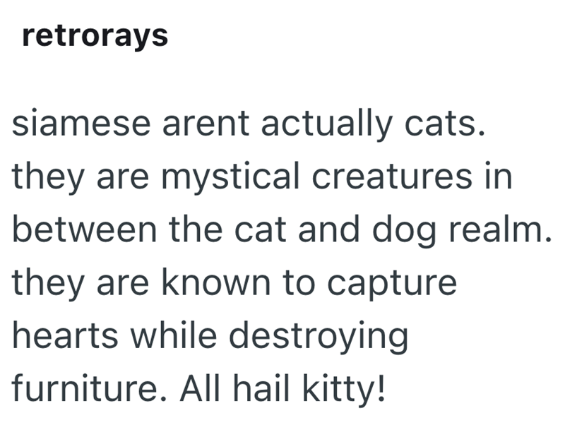 retrorays siamese arent actually cats. they are mystical creatures in between the cat and dog realm. they are known to capture hearts while destroying furniture. All hail kitty!
