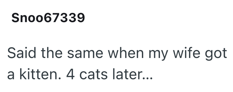 Snoo67339 Said the same when my wife got a kitten. 4 cats later...