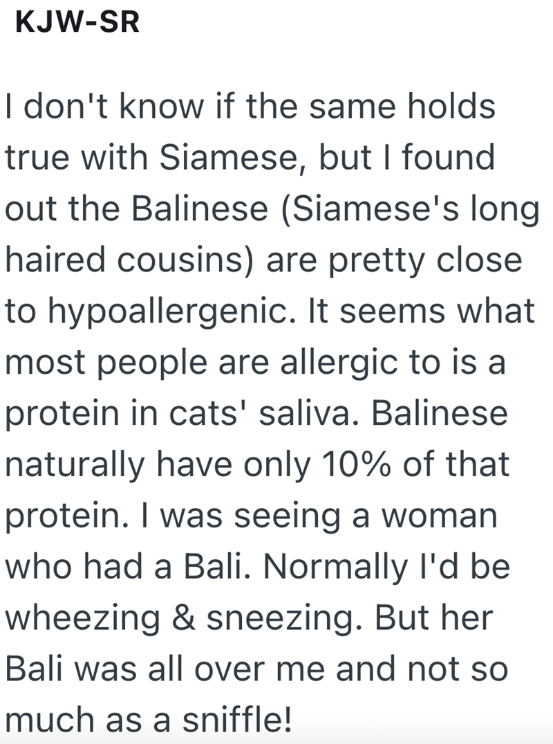 KJW-SR I don't know if the same holds true with Siamese, but I found out the Balinese (Siamese's long haired cousins) are pretty close to hypoallergenic. It seems what most people are allergic to is a protein in cats' saliva. Balinese naturally have only 10% of that protein. I was seeing a woman who had a Bali. Normally I'd be wheezing & sneezing. But her Bali was all over me and not so much as a sniffle!