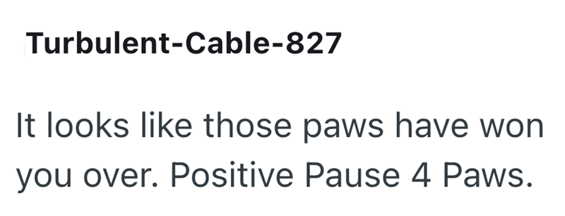 Turbulent-Cable-827 It looks like those paws have won you over. Positive Pause 4 Paws.