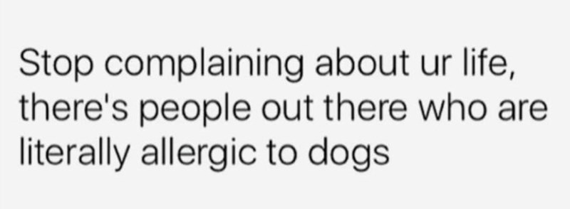 Stop complaining about ur life, there's people out there who are literally allergic to dogs.