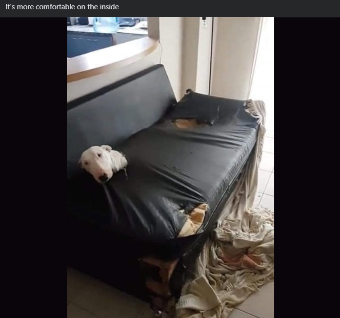 It's more comfortable on the inside