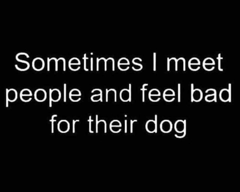 Sometimes I meet people and feel bad for their dog