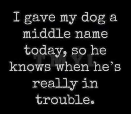 I gave my dog middle name today, so he knows when he's really in trouble.