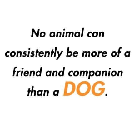 No animal can consistently be more of a friend and companion than a DOG.
