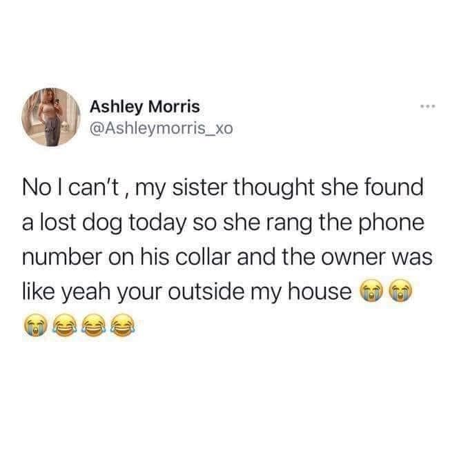 Ashley Morris @Ashleymorris_xo No I can't, my sister thought she found a lost dog today so she rang the phone number on his collar and the owner was like yeah your outside my house