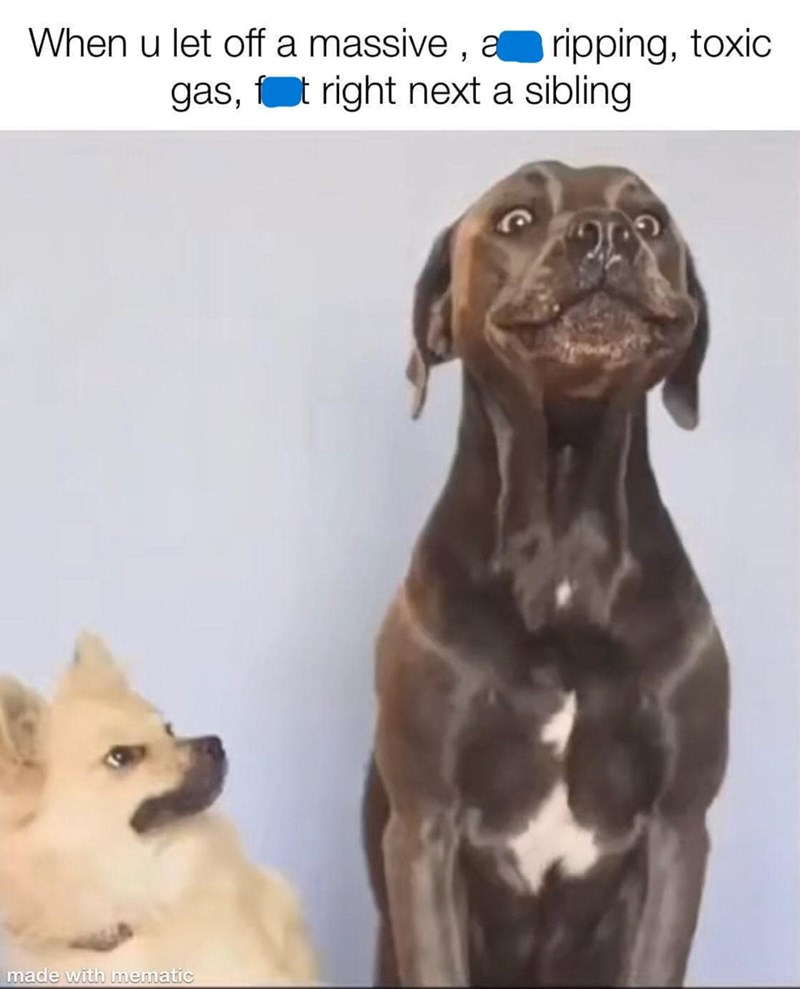 When u let off a massive, a ripping, toxic gas, ft right next a sibling. made with mematic