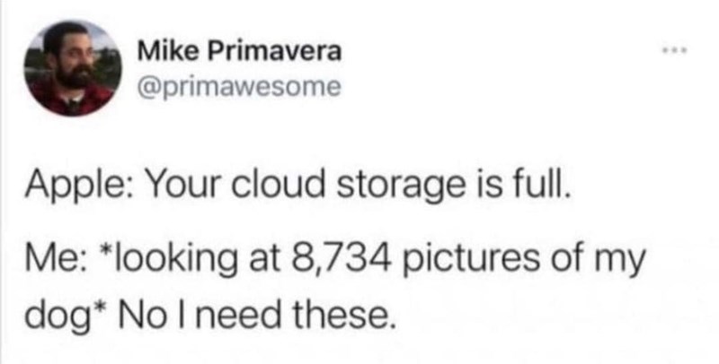 Mike Primavera @primawesome Apple: Your cloud storage is full. Me: *looking at 8,734 pictures of my dog* No I need these. ***