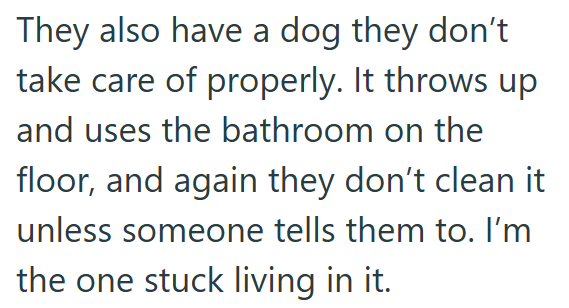 They also have a dog they don't take care of properly. It throws up and uses the bathroom on the floor, and again they don't clean it unless someone tells them to. I'm the one stuck living in it.