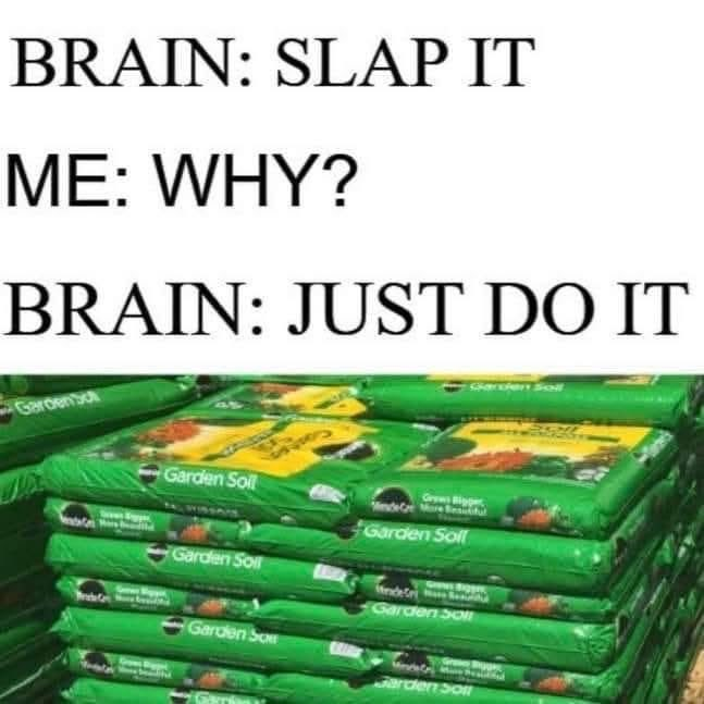 BRAIN: SLAP IT ME: WHY? BRAIN: JUST DO IT Gerdenbo Garden Soll Garden Soll Garden Sol Garden So Garden bo Garden Soll