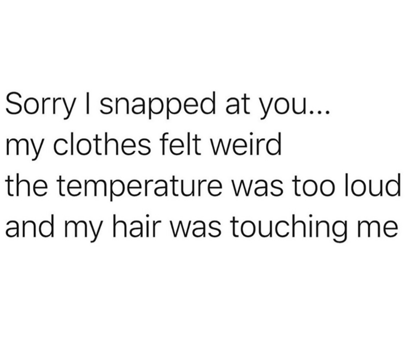 Sorry I snapped at you... my clothes felt weird the temperature was too loud and my hair was touching me
