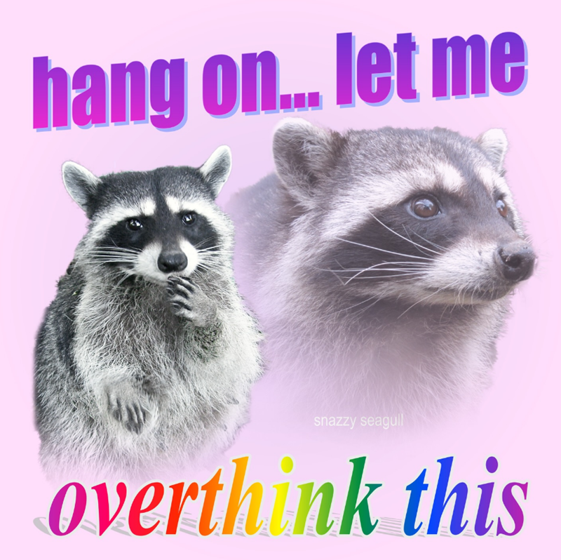 hang on... let me snazzy seagull overthink this