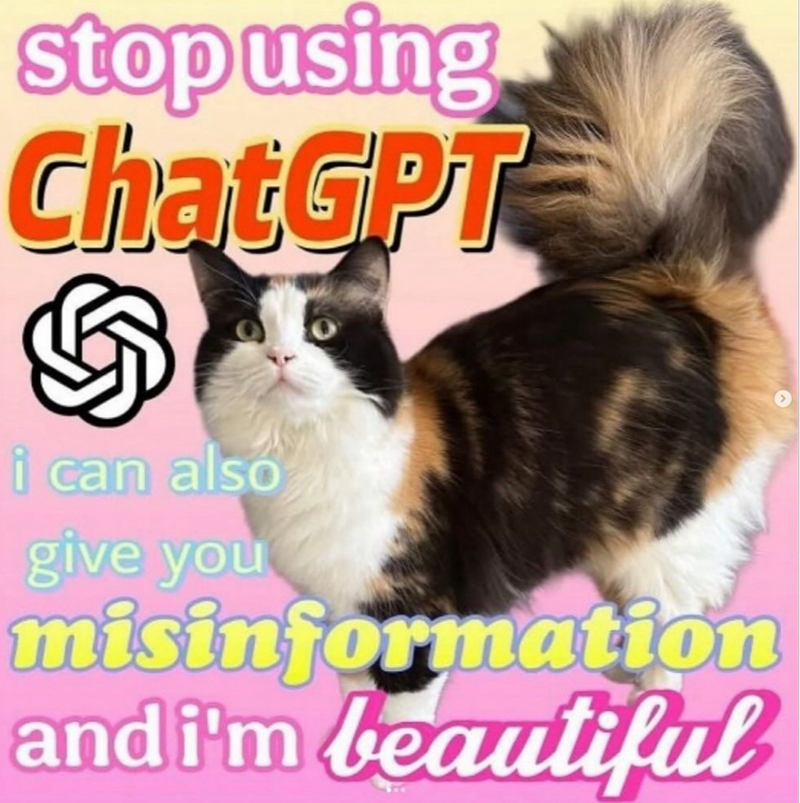 stop using ChatGPT i can also give you misinformation and i'm beautiful