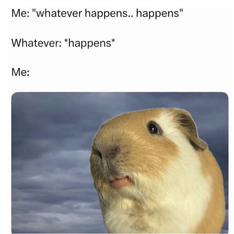 Me: "whatever happens.. happens" Whatever: *happens* Me: