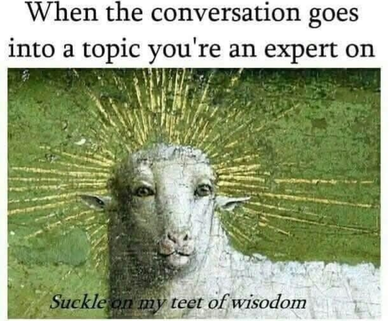 When the conversation goes into a topic you're an expert on Suckle on my teet of wisodom