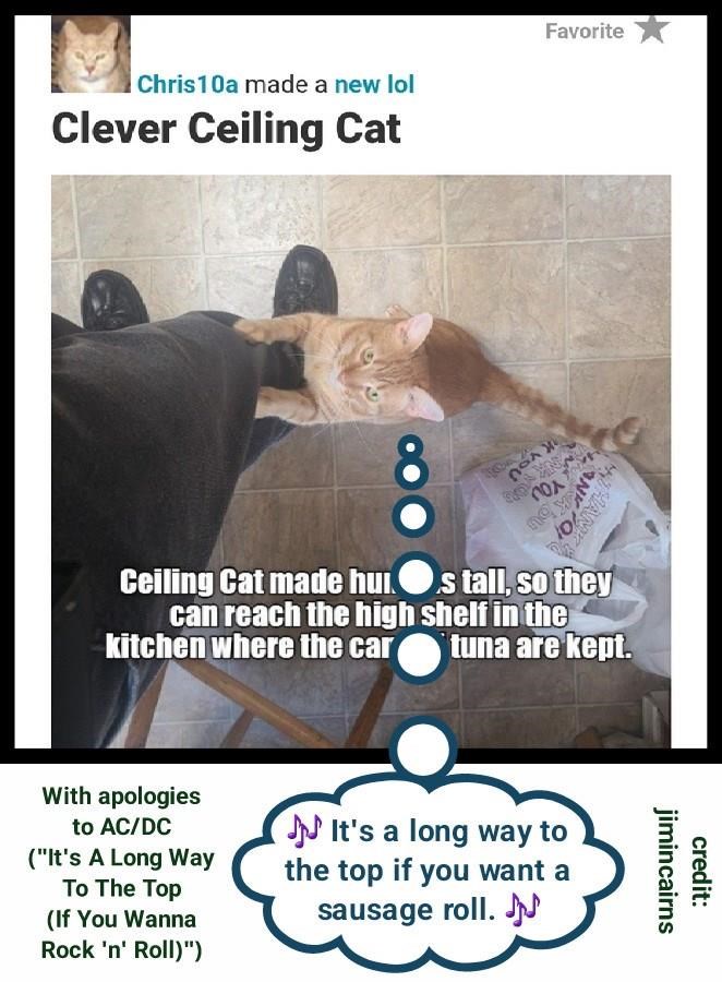 Cheezburger Image 10624562944