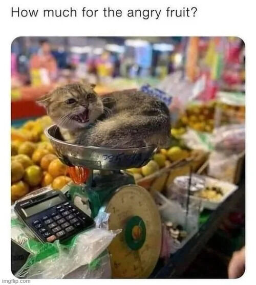 How much for the angry fruit? imgflip.com
