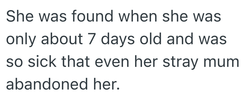 She was found when she was only about 7 days old and was so sick that even her stray mum abandoned her.