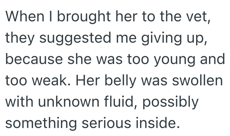 When I brought her to the vet, they suggested me giving up, because she was too young and too weak. Her belly was swollen with unknown fluid, possibly something serious inside.