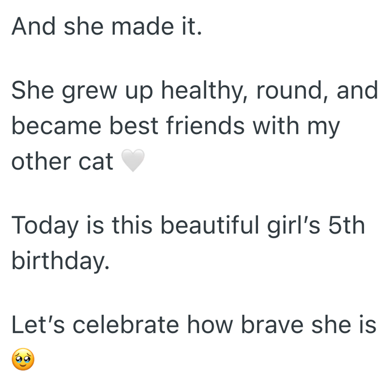 And she made it. She grew up healthy, round, and became best friends with my other cat Today is this beautiful girl's 5th birthday. Let's celebrate how brave she is