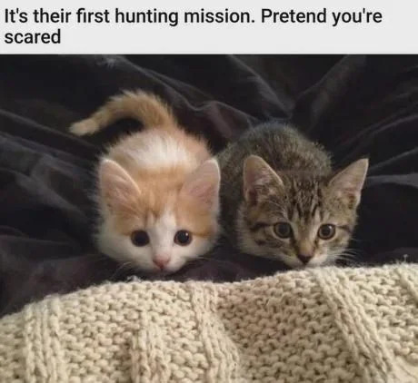 It's their first hunting mission. Pretend you're scared