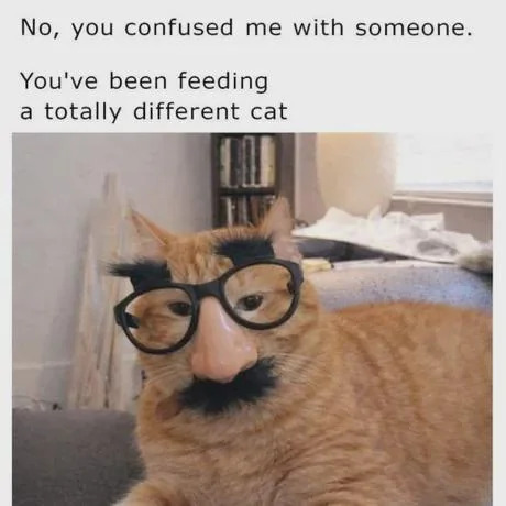 No, you confused me with someone. You've been feeding a totally different cat