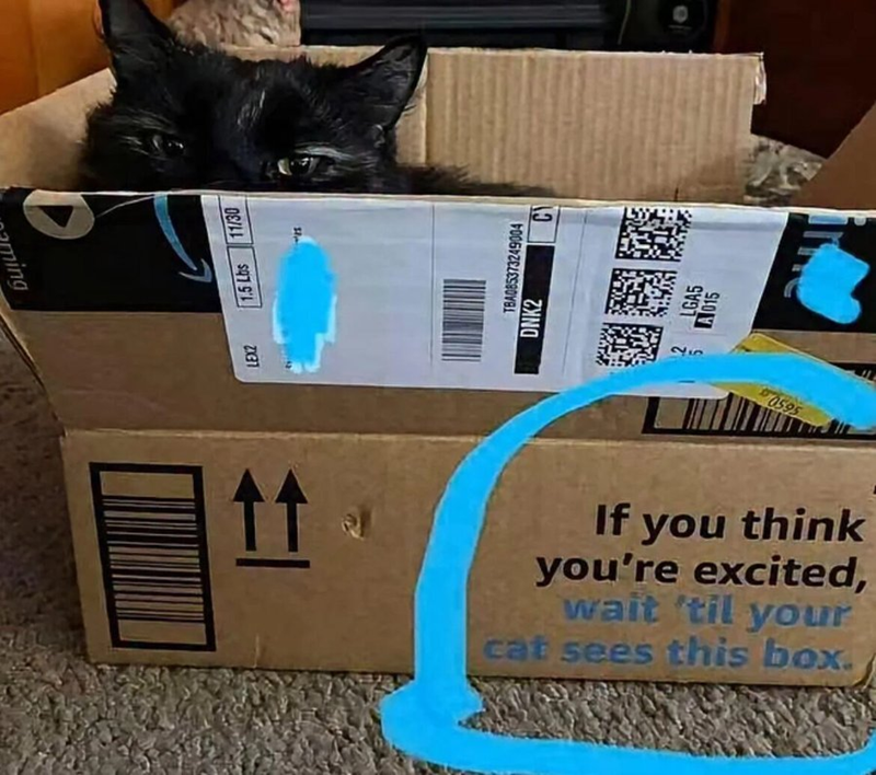 naming LEX2 1.5 Lbs 11/30 TBA085373249004 DNK2 เจ 2 LGA5 25 5 A015 0595 If you think you're excited, wait 'til your cat sees this box.