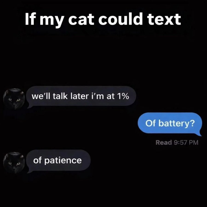 If my cat could text we'll talk later i'm at 1% of patience Of battery? Read 9:57 PM