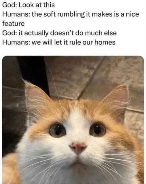 God: Look at this Humans: the soft rumbling it makes is a nice feature God: it actually doesn't do much else Humans: we will let it rule our homes
