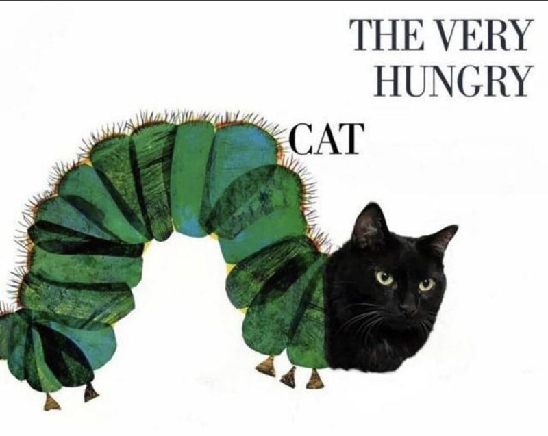 THE VERY HUNGRY CAT
